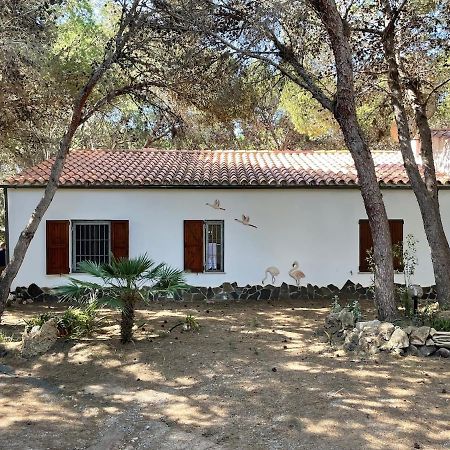 Porto Pineto Villa Indipendente 100 Mt Dal Mare Iunp7395 Porto Pino Zewnętrze zdjęcie